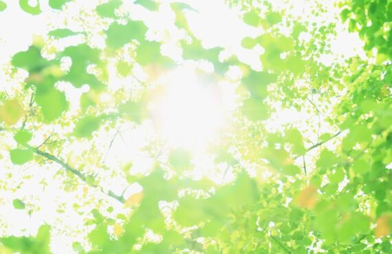 算数は積み重ねの科目です